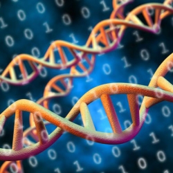 Bioinformatics Market Trends, Demand, Analysis and Forecast Till 2027