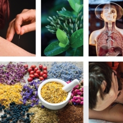 Complementary and Alternative Medicine Market Share, Key Players, Trends and Forecast 2023-2028