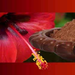 Hibiscus Flower Powder Market Growth, Share by Companies and Forecast 2023-2028