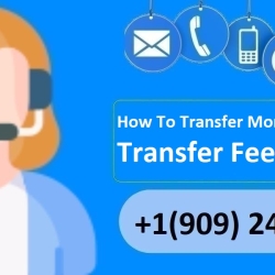 How To Transfer Money To Venmo? Transfer Fees & More