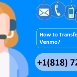 How to Transfer Money to Venmo?