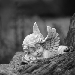 Beyond Decoration: How Angel Figurines Uplift Your Soul and Space!