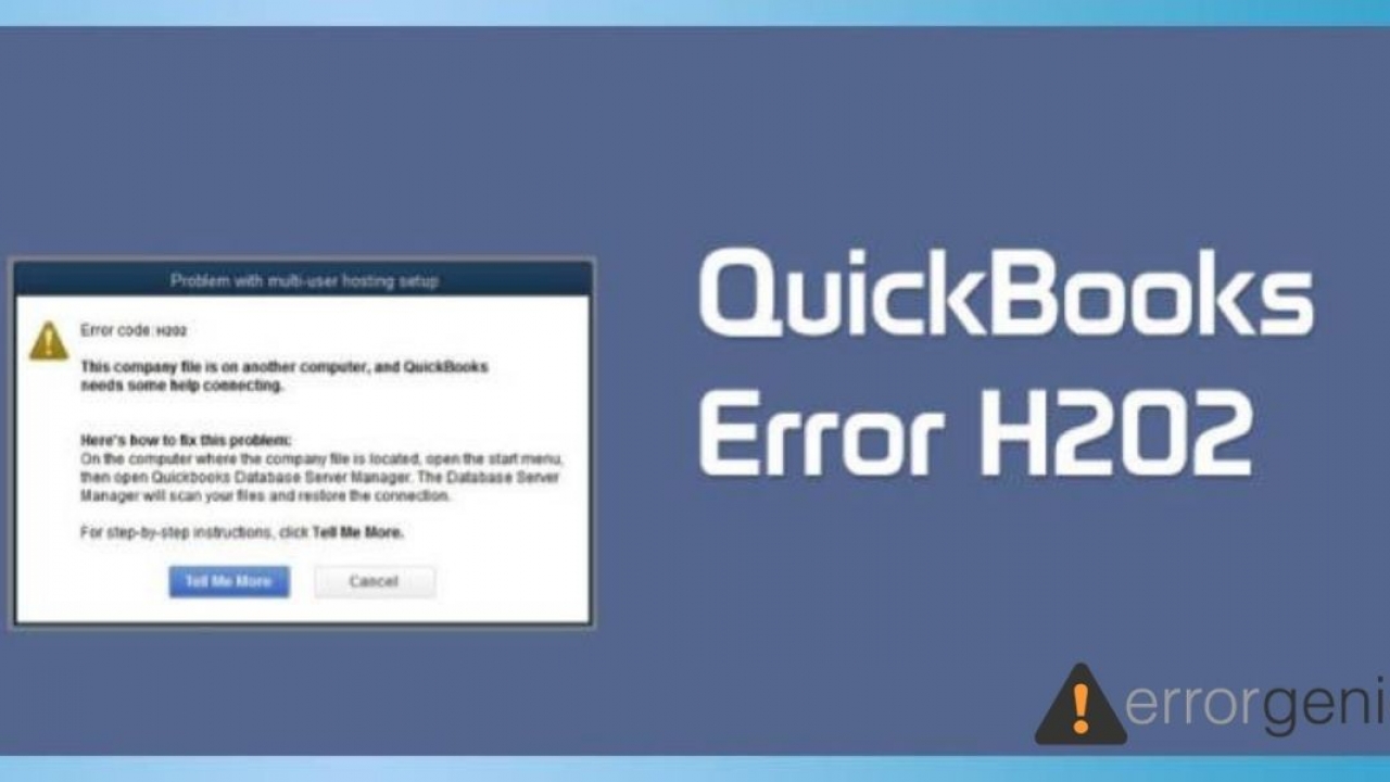 Quickbooks error h202