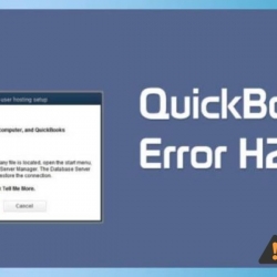 Quickbooks error h202