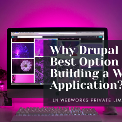 Why Drupal Is the Best Option for Building a Web Application?