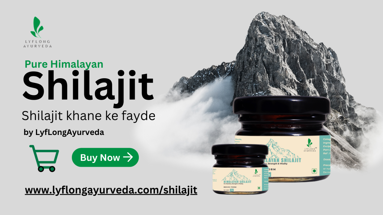 Lyflong Ayurveda: Elevating Holistic Well-being with Original Shilajit