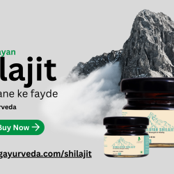 Lyflong Ayurveda: Elevating Holistic Well-being with Original Shilajit