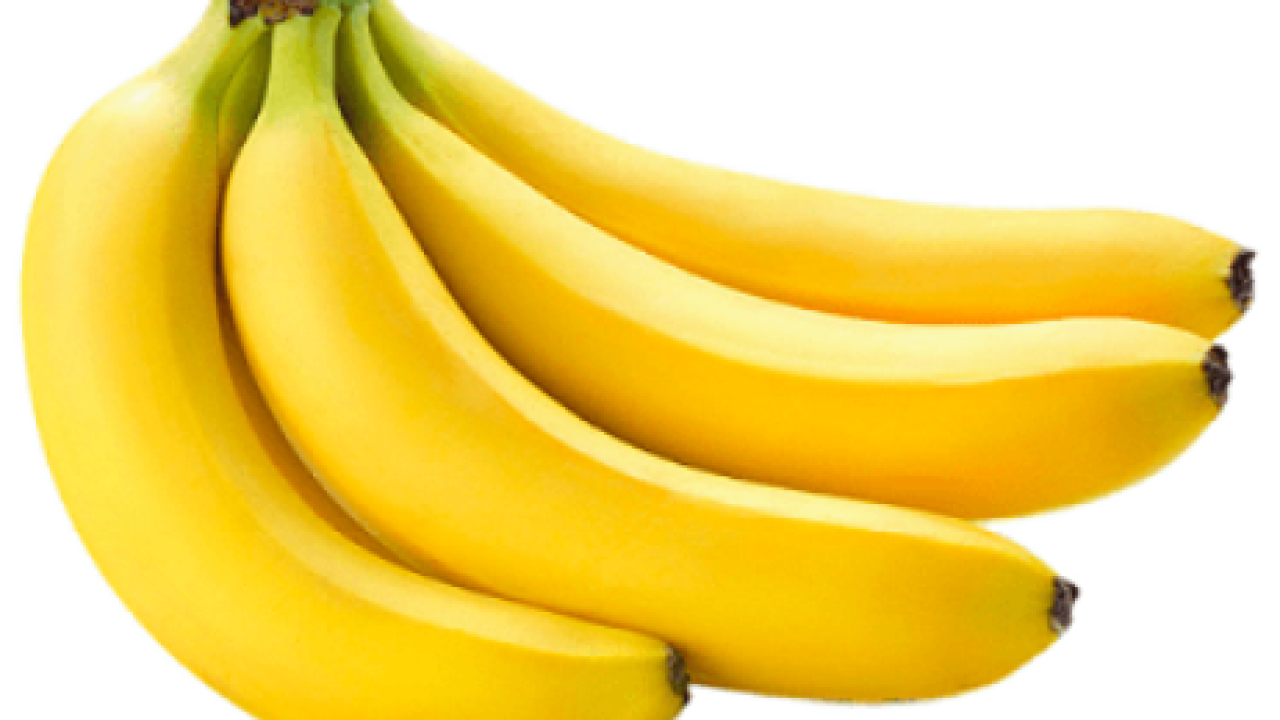 Nurturing Excellence: The Journey of a Premier Banana Export Company