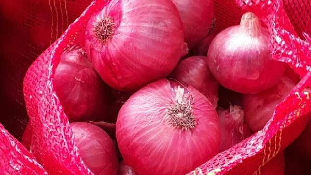 Leading Fresh Red Onions Exporters: Providing Quality Produce to Global Markets