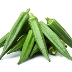 Unlocking Opportunities: The Rise of Okra Exporters in India