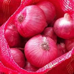 Leading Fresh Red Onions Exporters: Providing Quality Produce to Global Markets