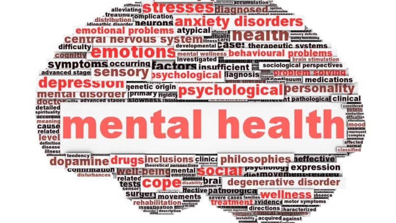 Manas Hospital: Your Mental Health Sanctuary