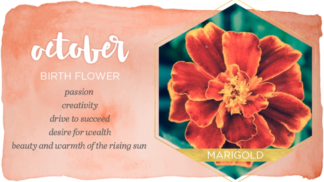 All About Flowers and Birthstones of October Month