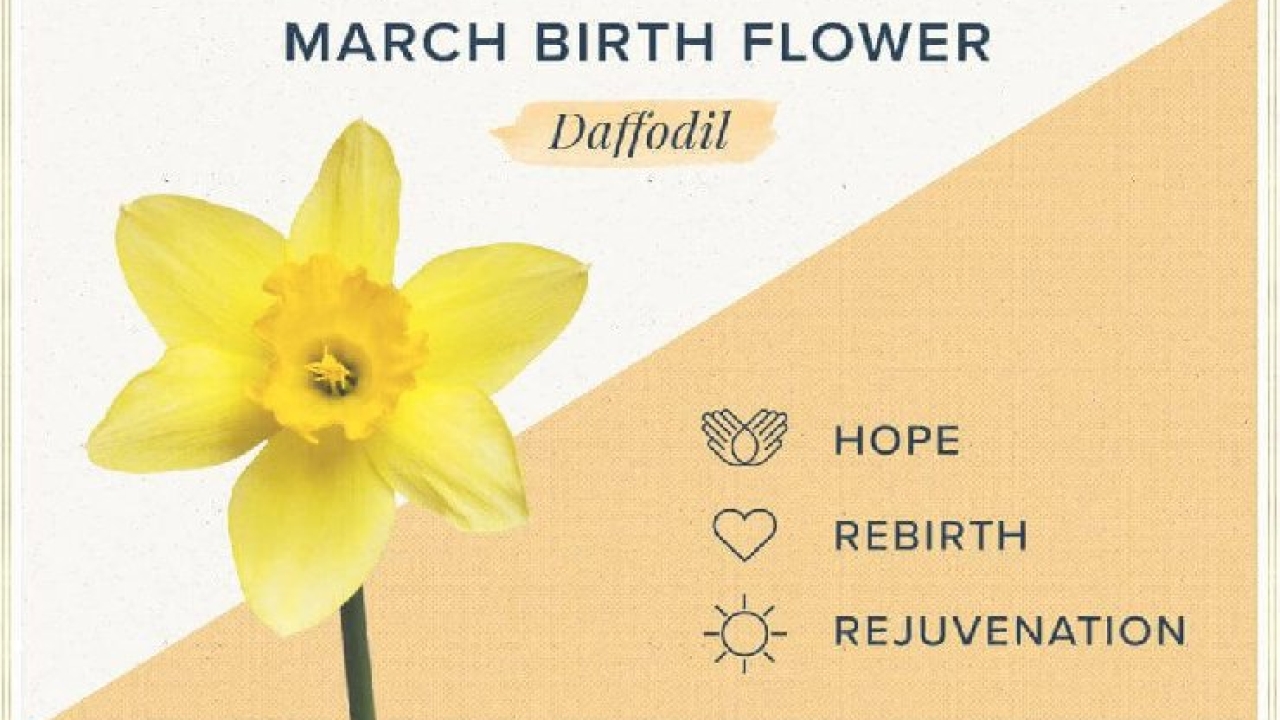 What is the March Birth flower & Stone?