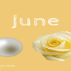 The Inside Story About June Flower and Birthstone