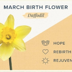 What is the March Birth flower & Stone?