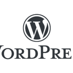 Die Wahl des richtigen Managed WordPress-Hostings: Wichtige Überlegungen