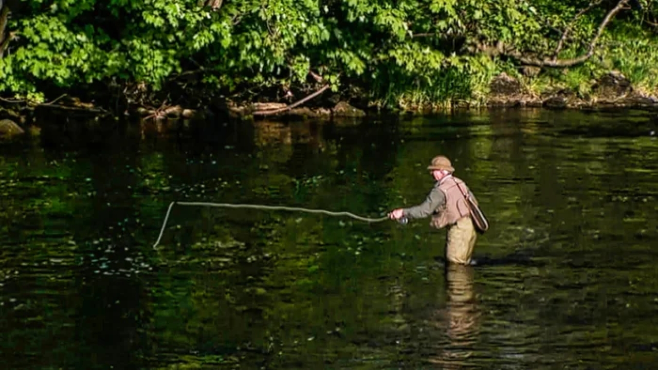 The Art of Fly Fishing: A Visual Journey with Learnflyfishing.net