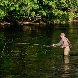 The Art of Fly Fishing: A Visual Journey with Learnflyfishing.net