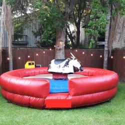 UNLEASH THE THRILL - ELEVATE YOUR EVENT WITH A PROFESSIONAL MECHANICAL BULL RENTAL