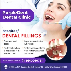 Get Dentist Consultation in Noida From Purpledent