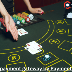 High risk payment gateway Solutions for Casino Gambling Business? 