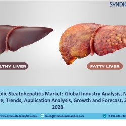 Non-alcoholic Steatohepatitis Market Size 2023: Share, Price Trends, Industry Analysis and Forecast 2028 | Syndicated Analytics