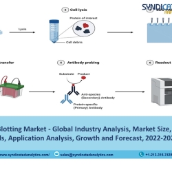 Western Blotting Market Report 2022: Size, Share, Price Trends, Growth, Industry Analysis, Opportunities and Forecast till 2027 - Syndicated Analytics