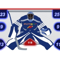 Hockey Net Targets