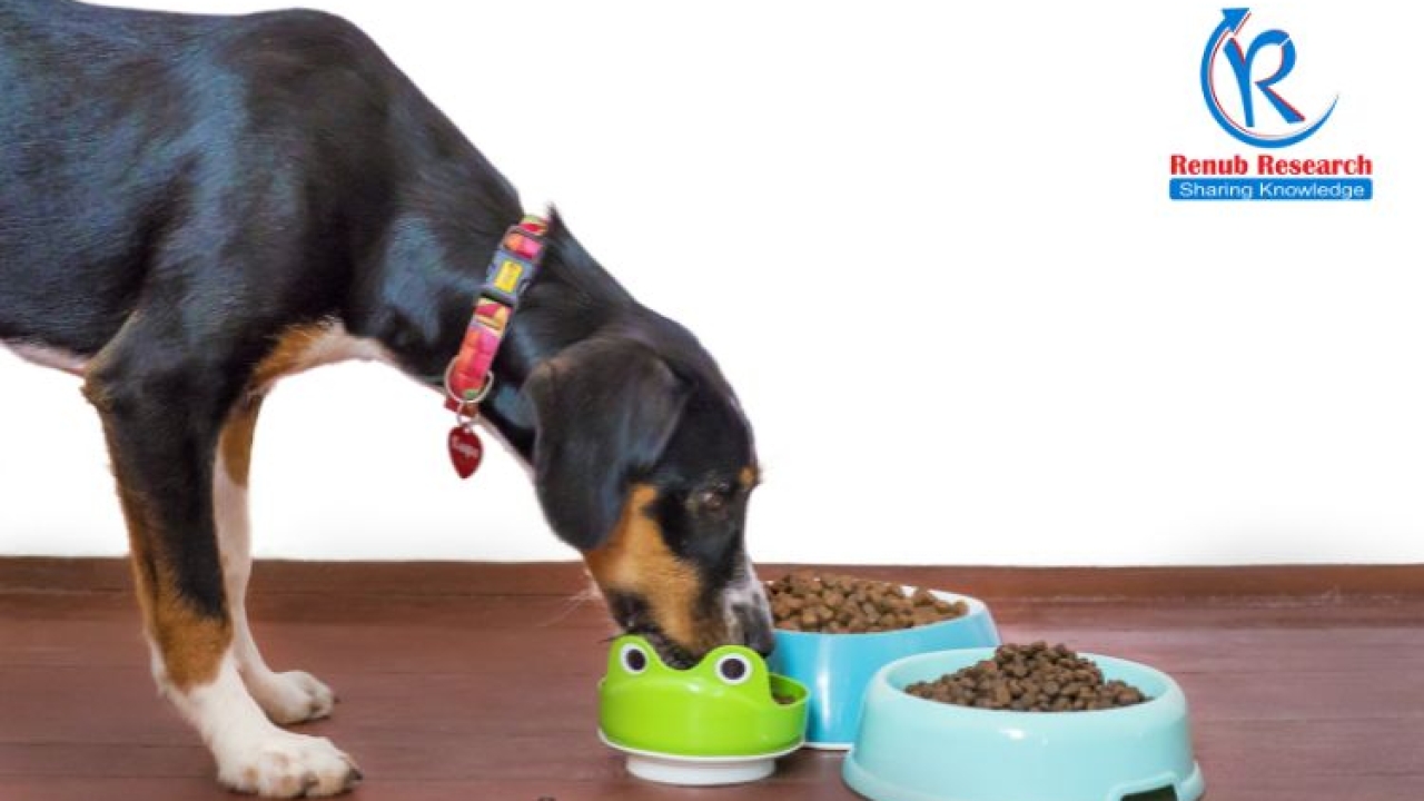 United State Pet Food Market to be USD 62.41 Billion by 2028