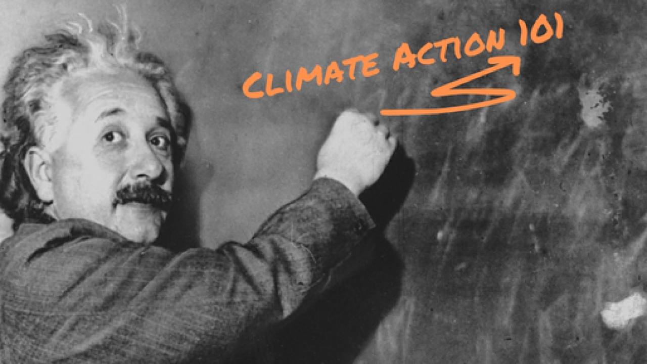 Finding Your Best-Fit Organization for Climate Action