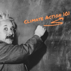 Finding Your Best-Fit Organization for Climate Action