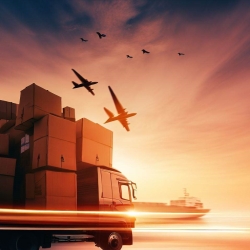 Cargo Freight Services: Unbelievable Secrets of Movers Revealed