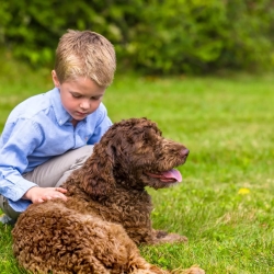 Innovative Pet Safety Solutions with Pet Stop's Invisible Dog Fence in Virginia Beach