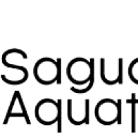 Saguaro Aquatics