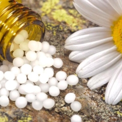 Boost Your Immune System Naturally: Discover the Top 5 Homeopathic Medicines