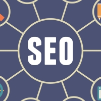 Seo Service Pune