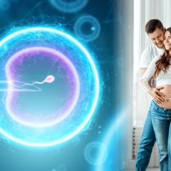 Benefits of the In Vitro Fertilization 