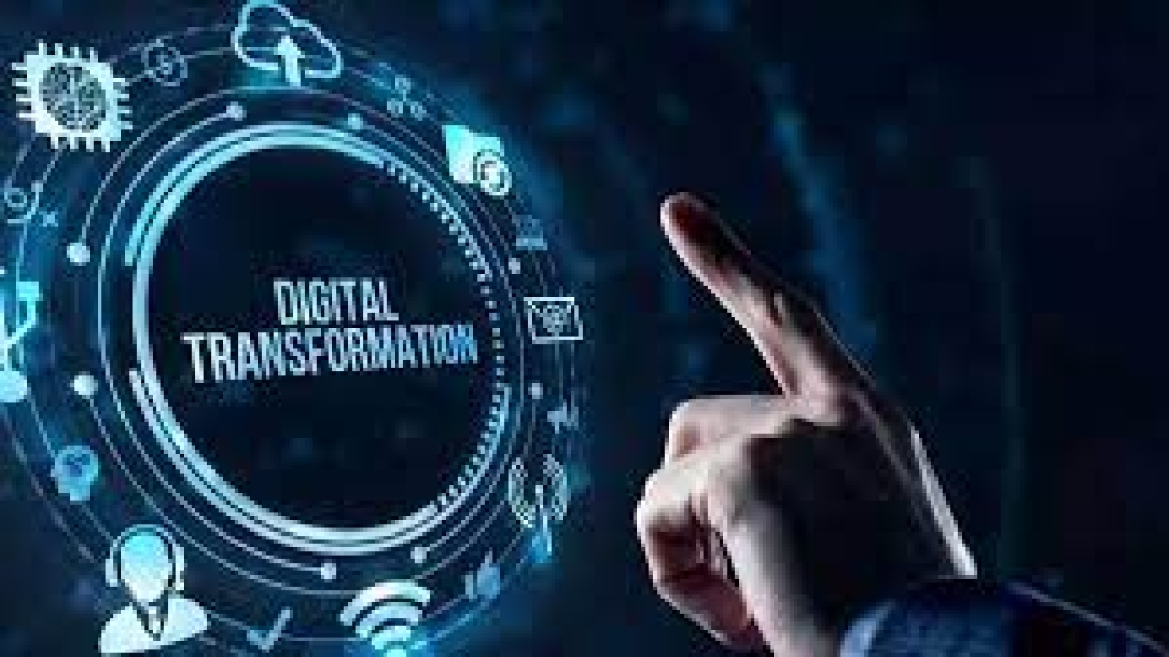 Tekki Web Solutions Inc. -Empowering Digital Transformation