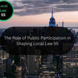 The Role of Public Participation in Shaping Local Law 55