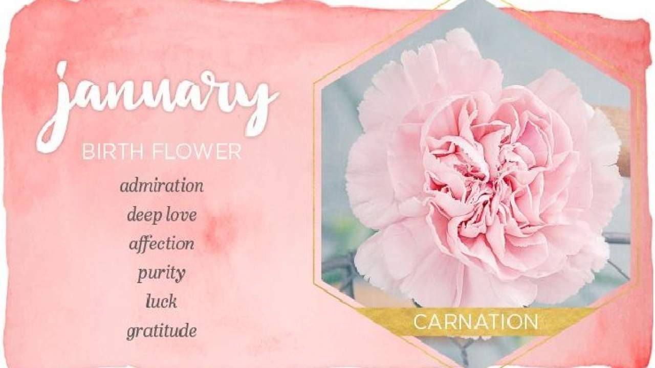 What is the January Birth flower & Stone?