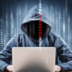 Certified Ethical Hacker: Unmasking the Digital Vigilantes