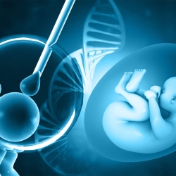 In Vitro Fertilization Services Market: Insights and Trends for the Future