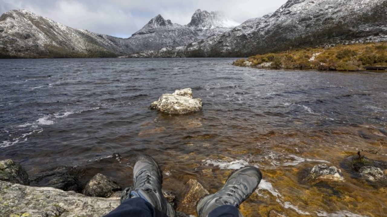 Cradle Mountain Guided Walks: Experience Nature Up Close