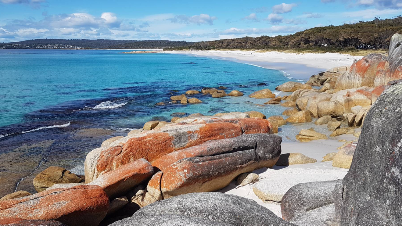 "Tasmania Tours: Unveiling the Natural Splendor and Cultural Riches of the Island Paradise"