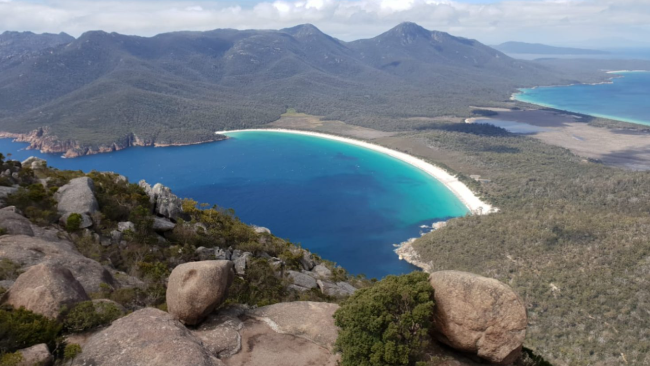 A Journey into Tasmania's Wilderness: Exploring the Wonders of Wildlife Sanctuaries