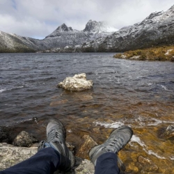 Cradle Mountain Guided Walks: Experience Nature Up Close