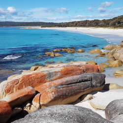 "Tasmania Tours: Unveiling the Natural Splendor and Cultural Riches of the Island Paradise"