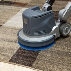 How Professional Carpet Cleaning Protects Every Home’s Air Quality